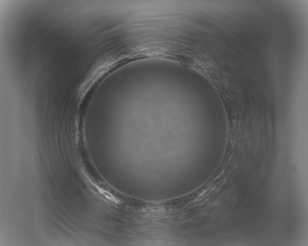 X0000057570194200509161042
