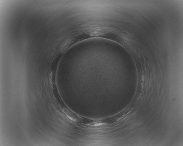 X0000057570219200509161042