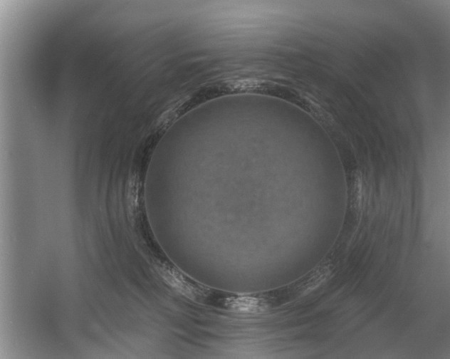X0000057570230200509161041