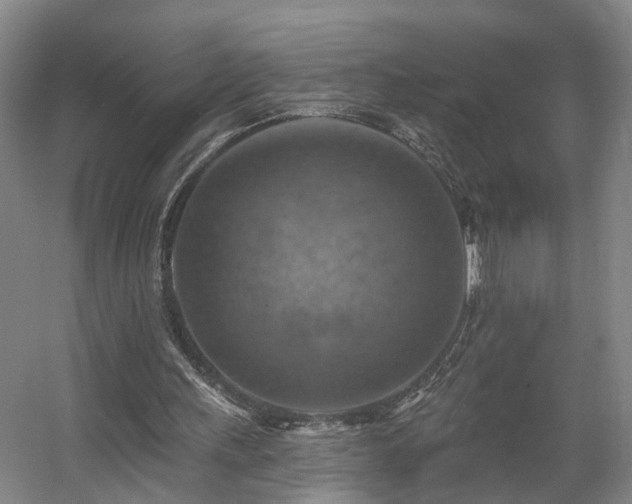 X0000057570243200509161040