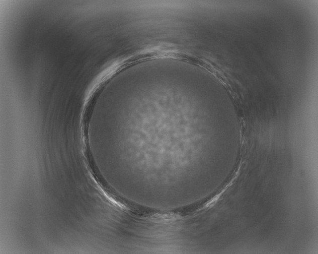 X0000057570245200509161041