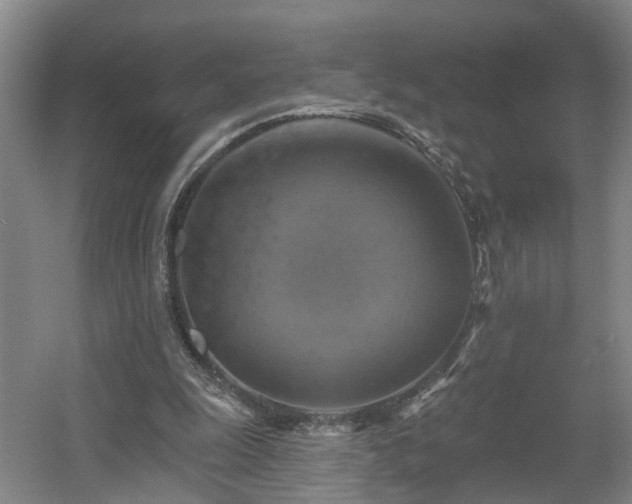 X0000057570247200509161041