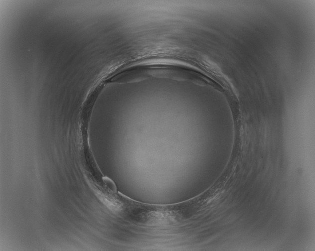 X0000057570250200509161041