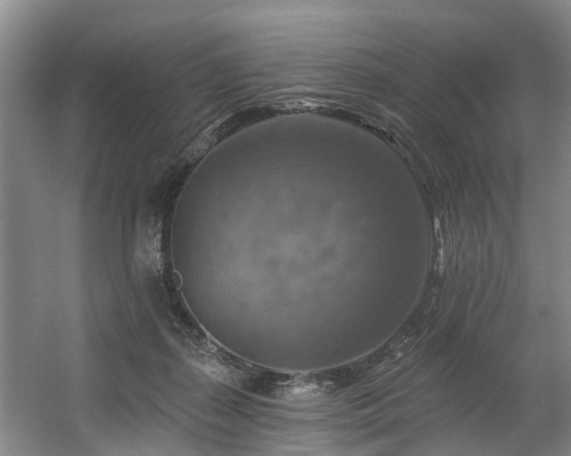 X0000057570267200509161041