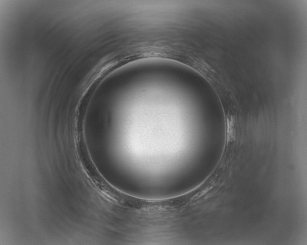 X0000057570291200509161040