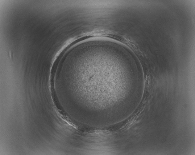 X0000057570292200509161040