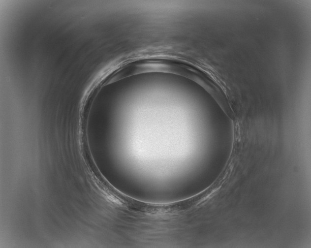 X0000057570293200509161040
