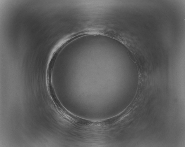 X0000057570294200509161040