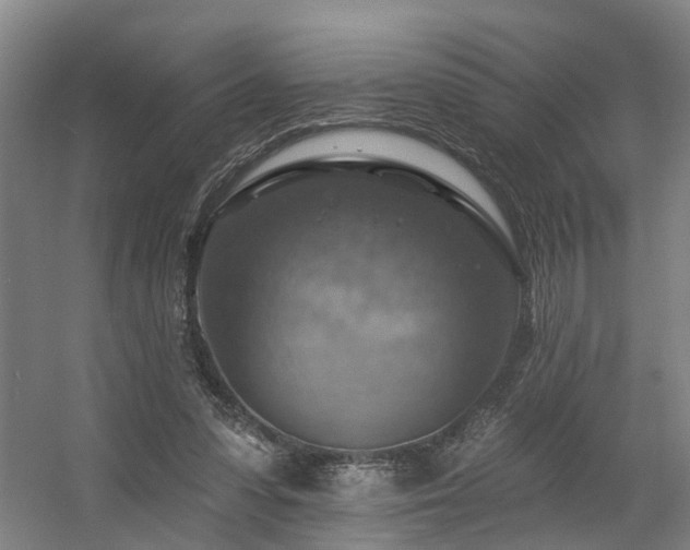 X0000057570303200509161040