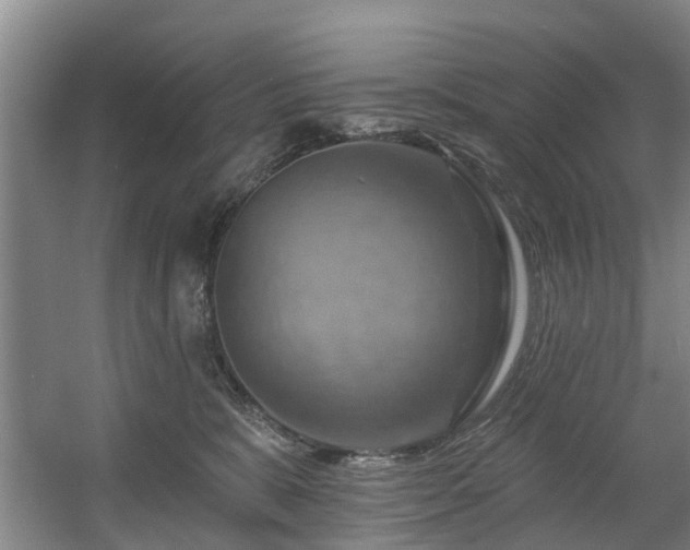 X0000057570327200509161040