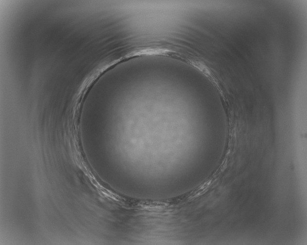 X0000057570337200509161039