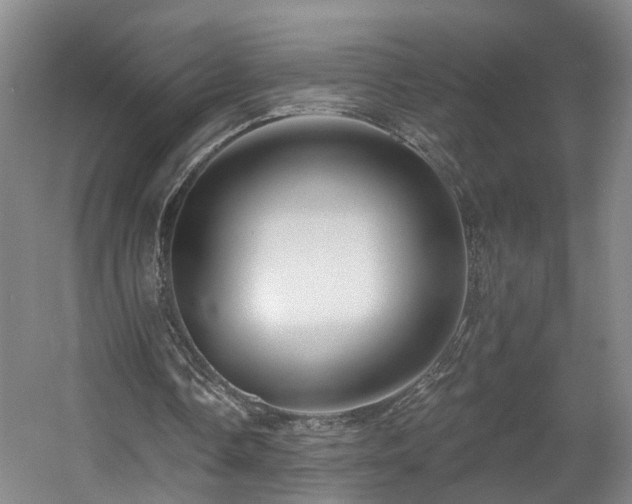 X0000057570338200509161039