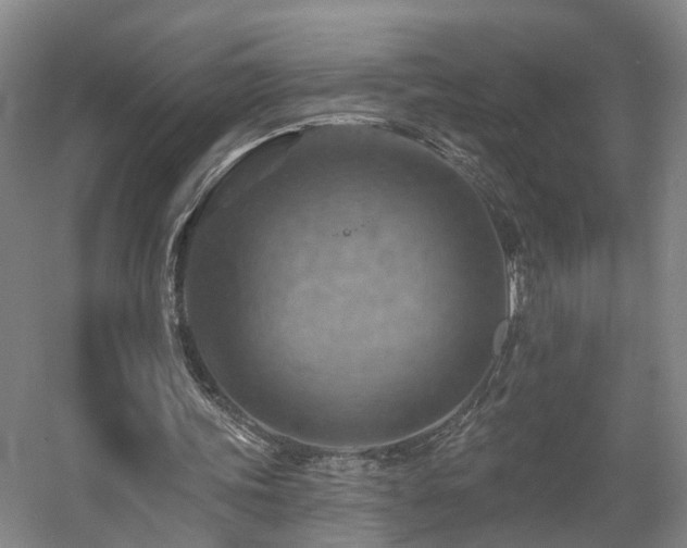 X0000057570339200509161039