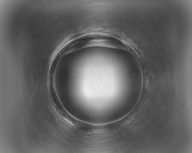 X0000057570344200509161039