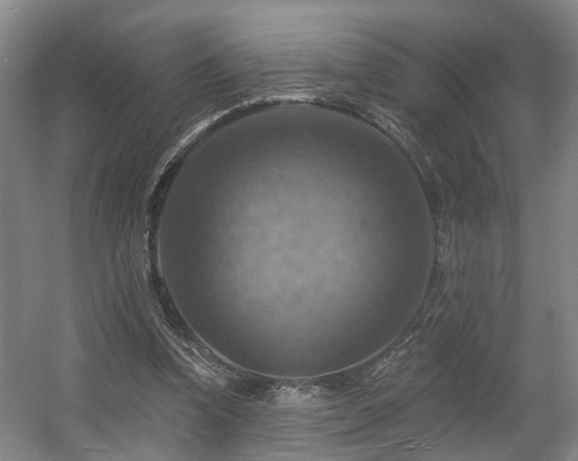 X0000057570346200509161039
