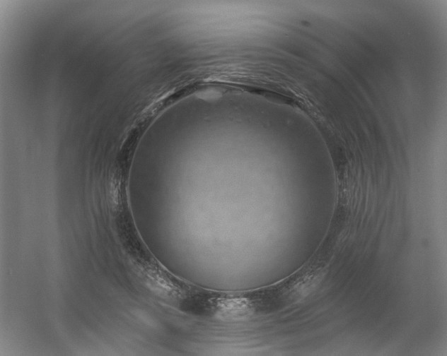 X0000057570355200509161039