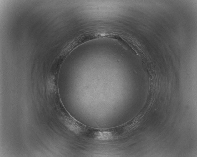 X0000057570361200509161039