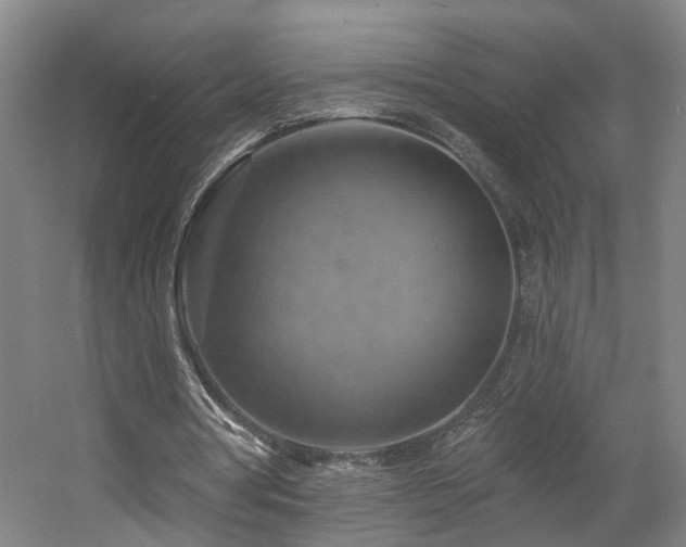 X0000057570386200509161039