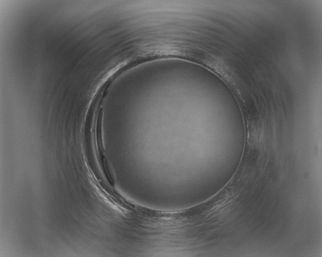 X0000057570390200509161039