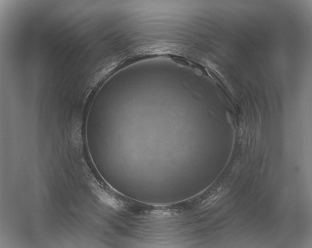 X0000057570394200509161039