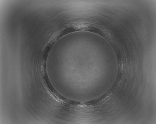 X0000057570408200509161038