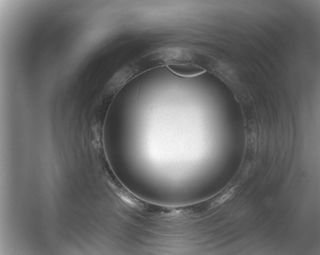X0000057570430200509161038