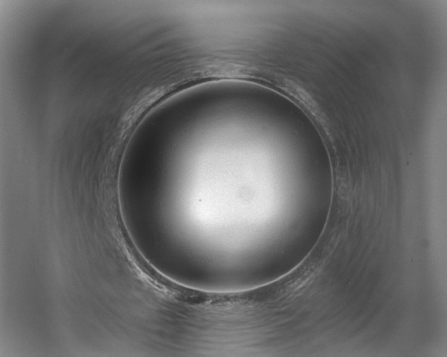 X0000057570433200509161037