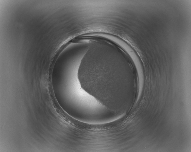 X0000057570434200509161037