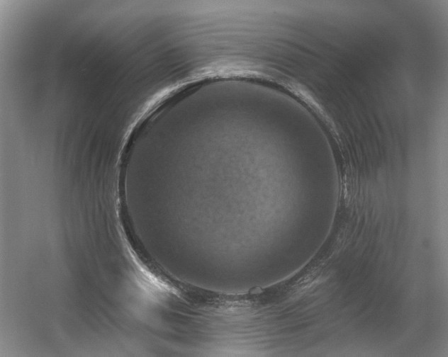 X0000057570438200509161037