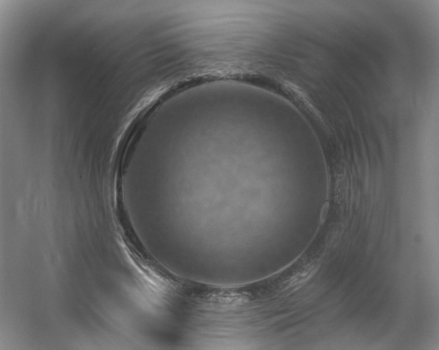 X0000057570443200509161037