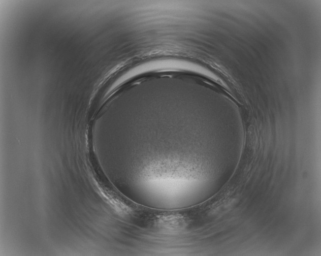 X0000057570446200509161037