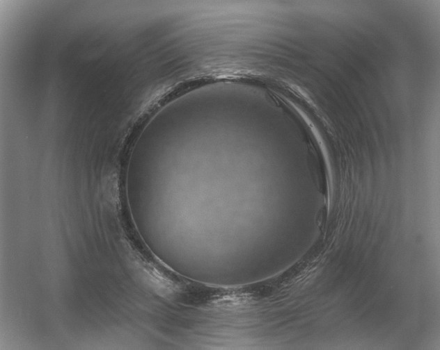 X0000057570447200509161037