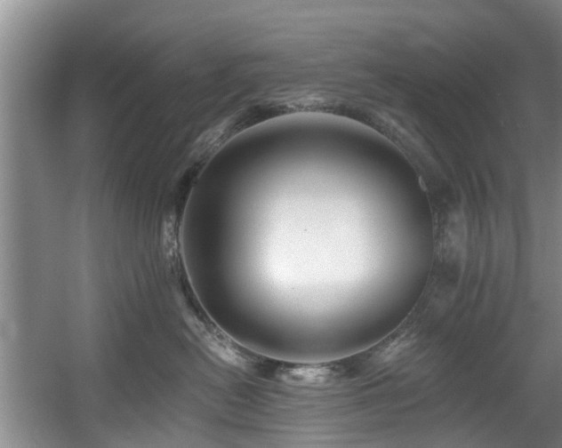 X0000057570478200509161038