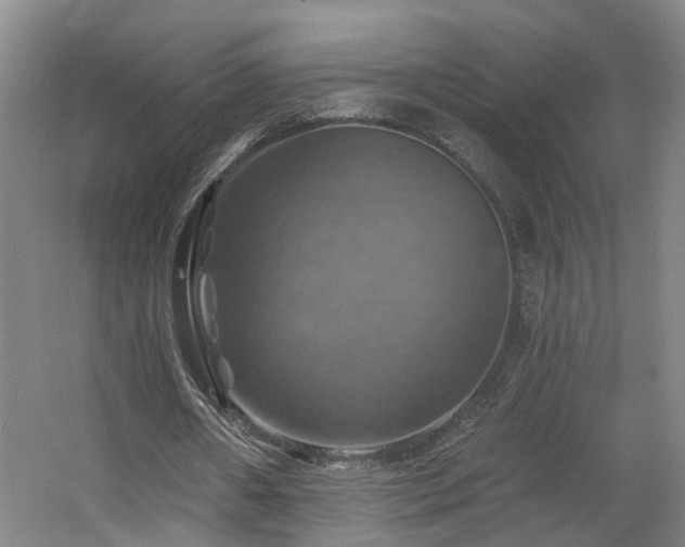 X0000057570482200509161037