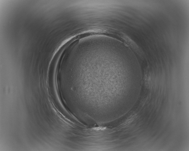 X0000057570484200509161037