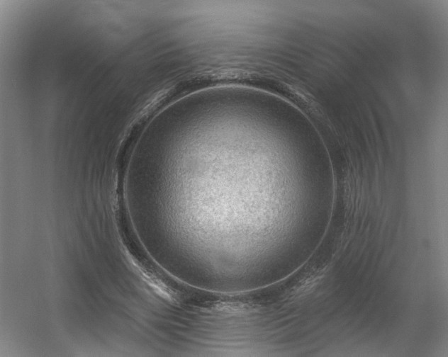 X0000057570490200509161037