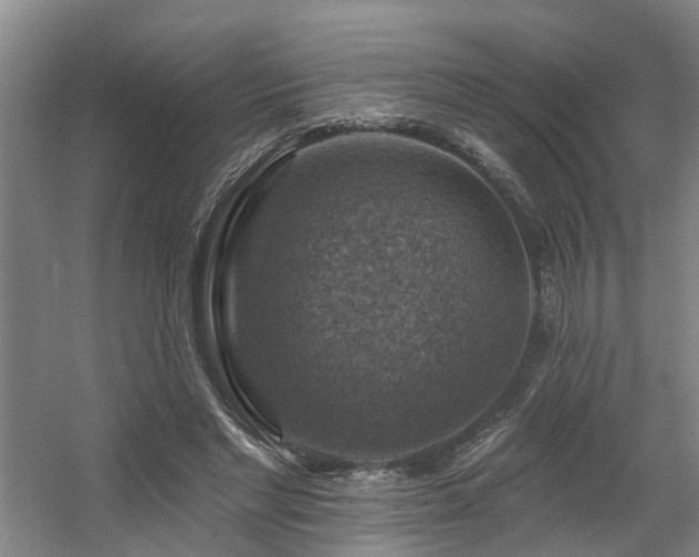 X0000057570493200509161037