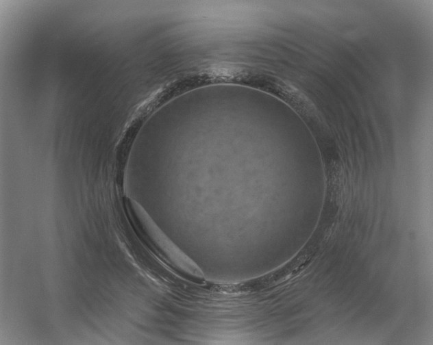 X0000057570496200509161037