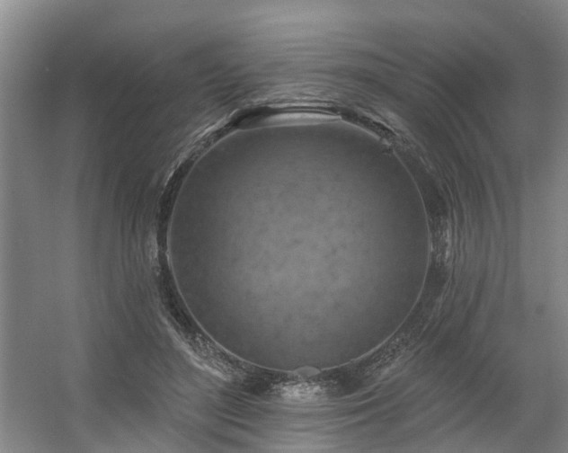 X0000057570500200509161037