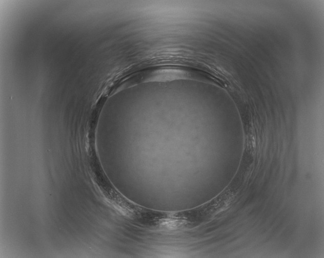 X0000057570504200509161037