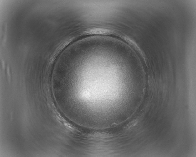 X0000057570529200509161035