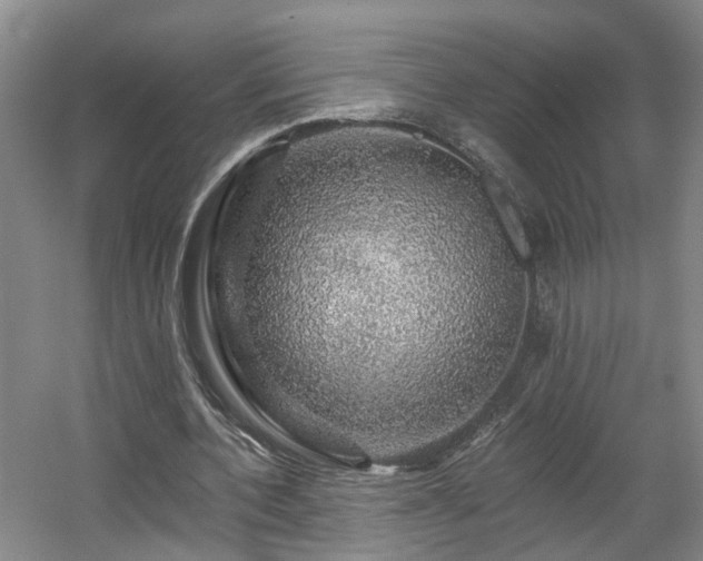X0000057570532200509161036