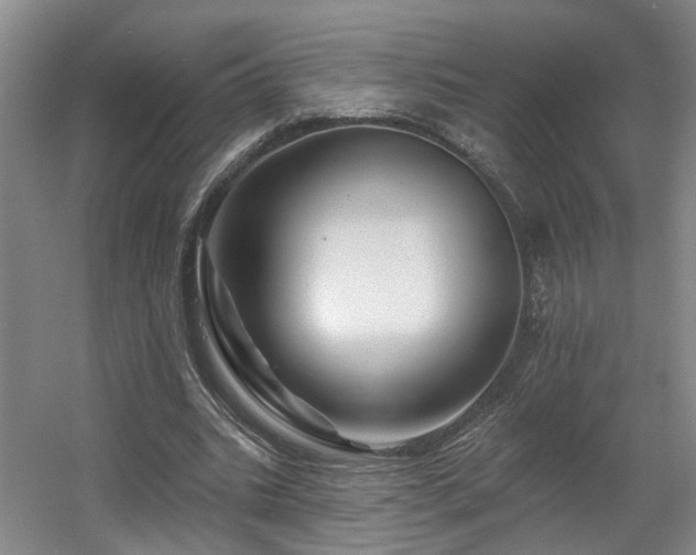 X0000057570535200509161036