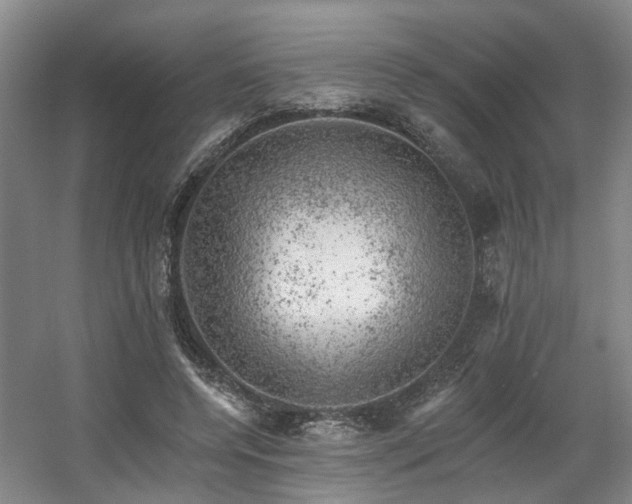 X0000057570544200509161036