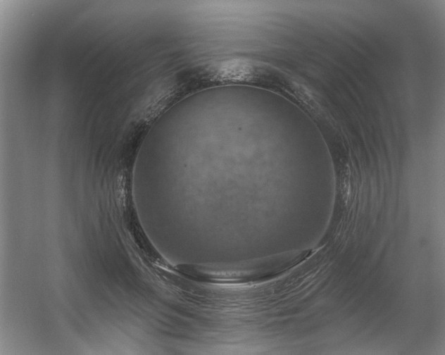 X0000057570551200509161036