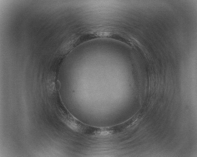 X0000057570553200509161036