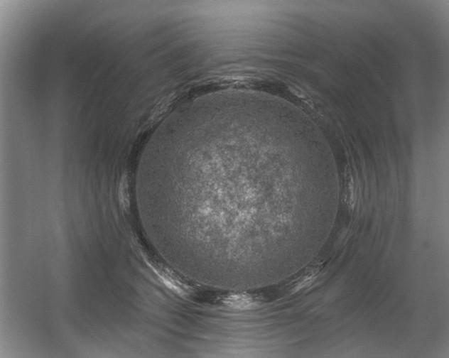 X0000057570562200509161036