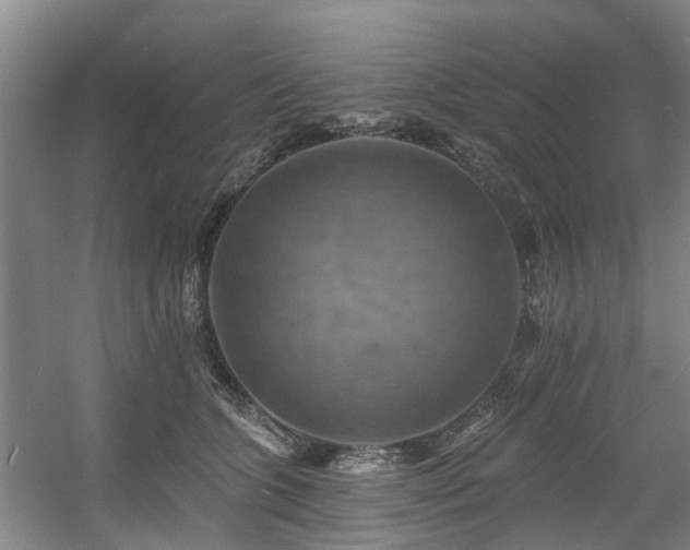 X0000057570563200509161036