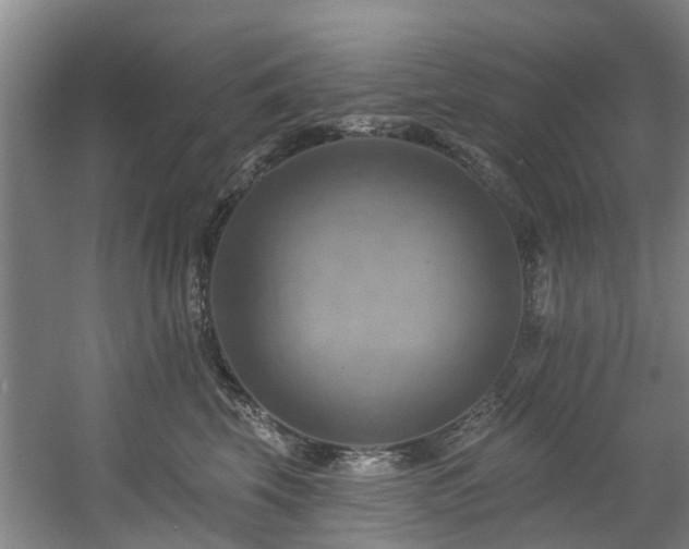 X0000057570569200509161036