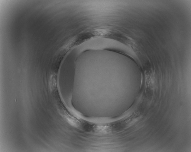 X0000057570570200509161036